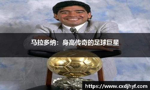 乐球体育