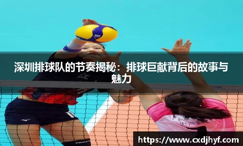 乐球直播体育