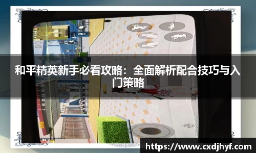 乐球体育直播