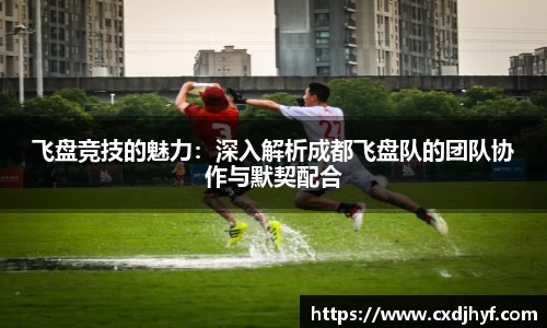 乐球直播体育