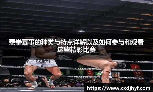 乐球体育直播在线观看