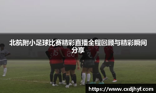 乐球体育直播