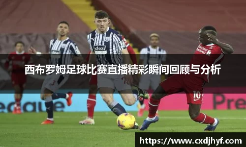 乐球直播体育