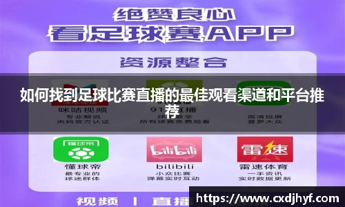 乐球体育直播