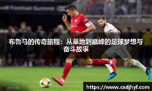 乐球体育