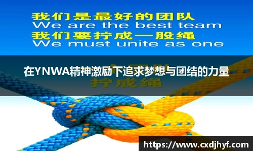 乐球体育直播